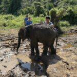 an elephant being given a mud bath by a group of people
