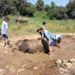 an elephant being given a mud bath by a group of people