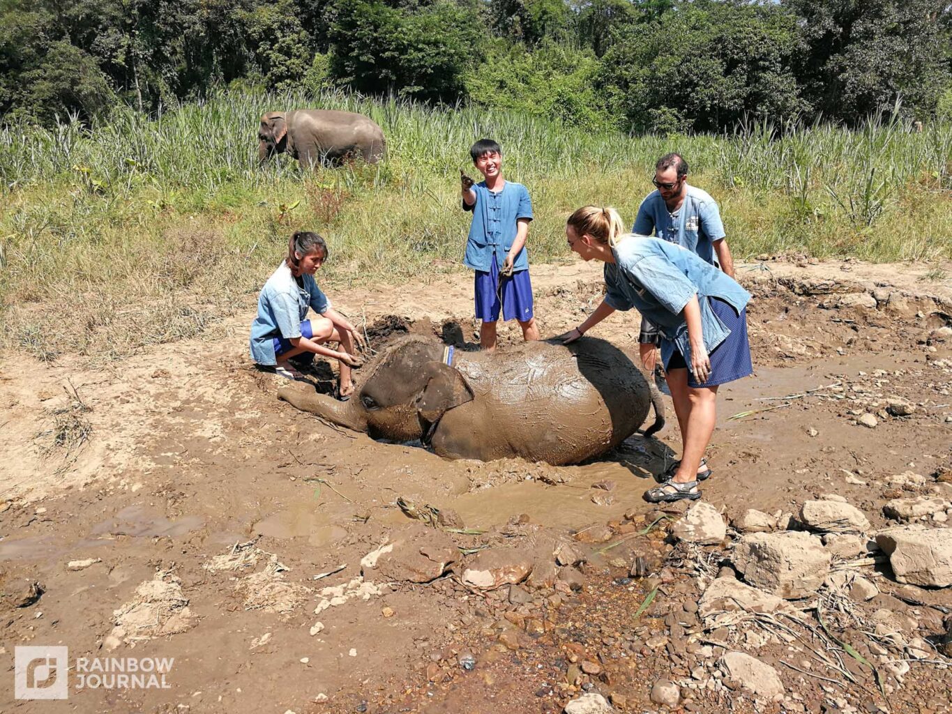 an elephant being given a mud bath by a group of people