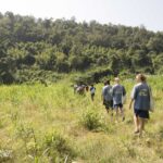 group of people walking along a path following an elephant